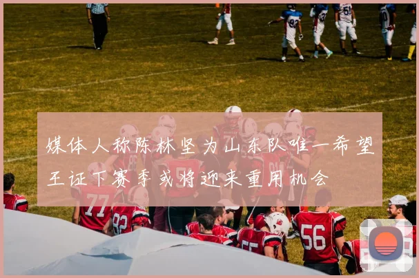 媒体人称陈林坚为山东队唯一希望王证下赛季或将迎来重用机会