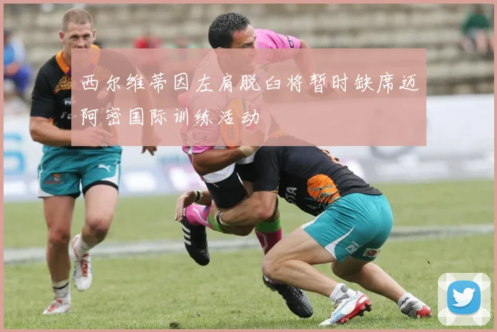 西尔维蒂因左肩脱臼将暂时缺席迈阿密国际训练活动