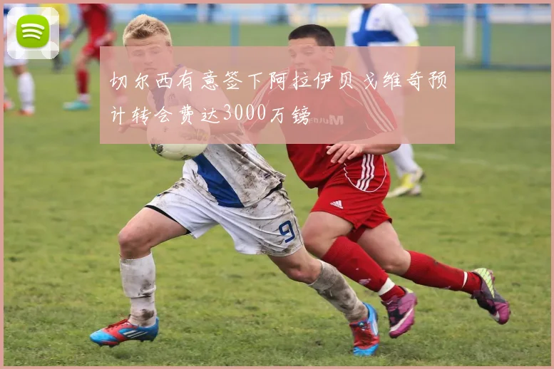 切尔西有意签下阿拉伊贝戈维奇预计转会费达3000万镑